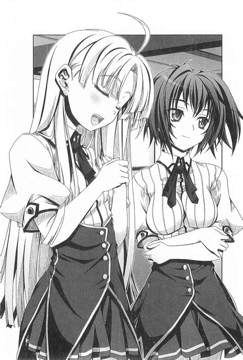 manga de high school dxd|high school dxd manga finished.